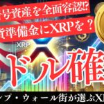 【激変】米SECが暗号資産を全面容認!? 戦略的国家準備金と価格予想【仮想通貨】【XRP】【リップル】