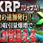 リップル最新！大幅高騰狙える新年早々の高騰ファンダ！【仮想通貨】【シバコイン】【イーロンマスク】【ビットコイン】【SHIB】【XRP】【DOGE】【リップル】