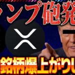 【トランプ重大発表】ソラナ・リップル爆上げアラート出ました 【SOL】【ステラルーメン】【XRP】
