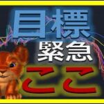 【仮想通貨ビットコイン今後】TRUMPトランプコインどうなる？初心者でもわかるテクニカル分析