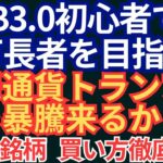 WEB3.0初心者でも億万長者を目指せる 仮想通貨トランプに続き暴騰来るか！？ 必見   銘柄   買い方徹底解説 ～Pi NetworkのPiコインをPiBridgeで安く購入する方法～