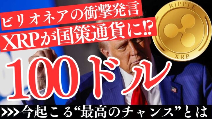 【衝撃】XRPが国家銀行の決済通貨に!? ビリオネア資産家がトランプ政権が注目しているコインと可能性を暴露【仮想通貨】【リップル】