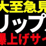 ⚠️大至急見て⚠️リップル（XRP）に爆上げサイン点灯か⁉︎今後の最新分析を共有！【仮想通貨】