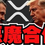 【🔥XRP】リップルがめっちゃ強い！このまま爆億？／ビットコインは低調。だがメタプラネットがすごいことを。。／魔界大冒険下落。むっちゃ苦しい。。