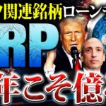 【リップル(XRP)】2025年はリップルイヤー確定!!500ドル到達の価格予測も?!最大期待値を望める1月の最新XRP戦略を公開!【SWELL(スウェル)】【仮想通貨】