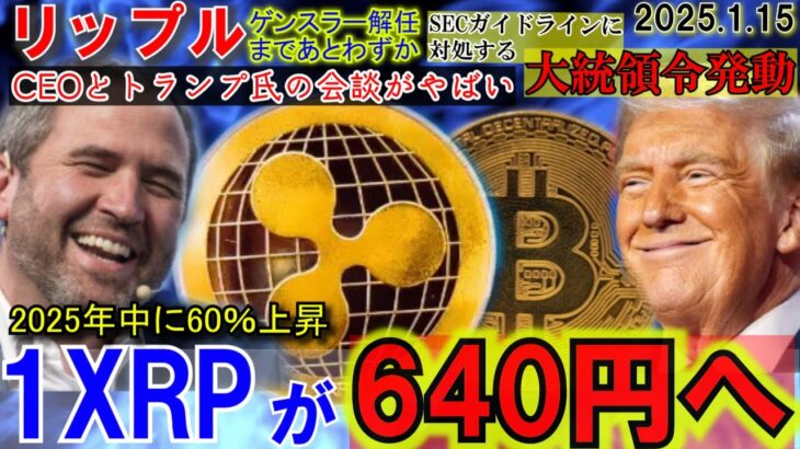 リップル（XRP)年内640円へ！CEOとトランプ氏の会談がやばすぎた！話題のDark Machineの期待がやばい！大統領令で仮想通貨市場がえぐいことに！アルトターンが遂に来た！