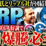 【リップル(XRP)】イーロン氏とリップルCEOが団結！来る1月20日に大高騰間違いなし！今後の動きと利確戦略を徹底解説【仮想通貨】