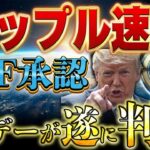 【XRP速報❗️】リップルETF承認のXデーとは？大統領就任式後の市場はどうなるのか❗️#リップル #仮想通貨 #xrp