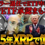 【XRP（リップル）】ゲンスラー退任でETF申請続出！XRPETF承認ほぼ確定か？リップル社長が衝撃発言で2025年リップルバブル！億り人続出か【仮想通貨】【ビットコイン】【SHIB（柴犬コイン）】