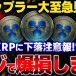 ※リップル最新情報！XRPは今後下落する？何枚持てばいい？トランプコインから学ぶ仮想通貨で億り人になる最も簡単な方法!!!【SWELL(スウェル)】【ビットコイン】