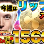 【仮想通貨】今週はXRP（リップル）が最高値更新！？トランプ大統領誕生とジャスティン・サンが急接近！TRX（トロン）も爆上げ準備か！？（BTC、XRP、TRX）