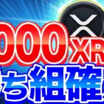 【リップル(XRP)】仮想通貨リップル最新情報！トランプ大統領とイーロンマスクがリップル(XRP)に好影響！xrpで億り人へ【XRP最新情報】【仮想通貨】