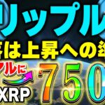 【リップル(XRP)】仮想通貨最新情報！xrpの暴落は上昇の前兆！リップルバブルはこれから到来！xrp銘柄のSwell(スウェル)で2025年絶対に億る！！【XRP最新情報】