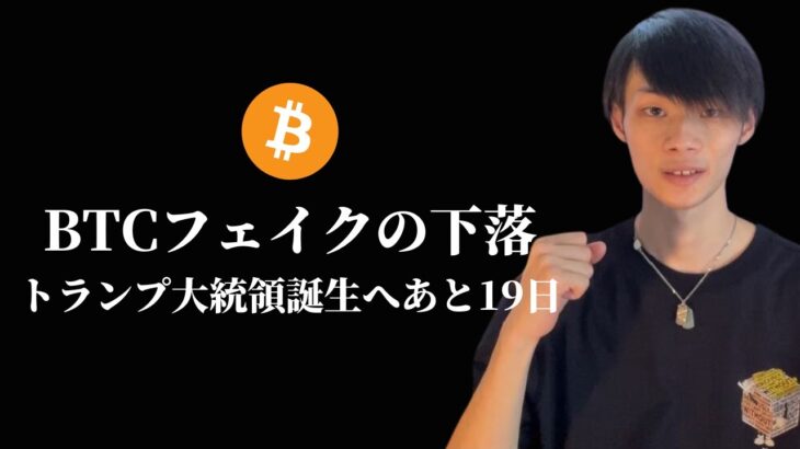 【ビットコインは、同じパターンの繰り返し】　負け犬根性をぶち壊せ。　【仮想通貨・ビットコイン相場分析】