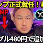 トランプ就任も暴落幕開け🔥ビットコイン、リップル、トランプコインは今後上昇するのか？