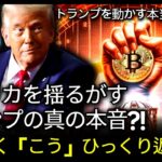 トランプを操る仮想通貨の真の勢力？ビットコインの衝撃的なシナリオ大公開