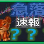 【仮想通貨ビットコイン今後】どこまで下がる！？初心者でもわかるテクニカル分析