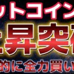 ビットコイン１０万ドル突破！！これから積極的にアルトコインにも全力買い！？