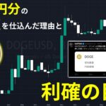 100万円分のドージコインを仕込んだ理由と利確の目途