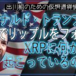 ［20250214］ドナルド・トランプ・ジュニアがXでリップルをフォロー、XRPに何が起こっているのか？【仮想通貨・暗号資産】