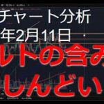 2025年2月12日ビットコイン相場分析
