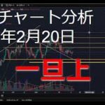 2025年2月20日ビットコイン相場分析