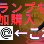 【注目の仮想通貨をご紹介】トランプ一族も追加購入　2025年末にソラナが520㌦⁉　ライトコイン・リップルの現物ETFに新たな流れ