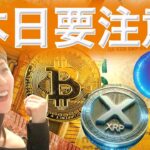 2〜3週間後に最高値更新か XRP新たな上昇要因