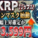 リップル最新！９倍狙えるイーロンマスクの動向とは？2月が最も収益取れます！【仮想通貨】【シバコイン】【イーロンマスク】【ビットコイン】【SHIB】【XRP】【DOGE】【リップル】【最新】