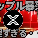 【暴落】リップル300円割る😡無理すぎる！仮想通貨バブル崩壊は北朝鮮ハッカーの責任！！