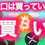 31,523BTC 爆買いしている大口投資家がいる！！！