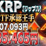 リップル最新！5倍高騰へ王手か！？SECがついにXRPを認めました！！【仮想通貨】【シバコイン】【イーロンマスク】【ビットコイン】【SHIB】【XRP】【DOGE】【リップル】【最新】