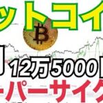 ビットコイン6月12万5000ドル！？「スーパーサイクル健在」強気相場継続？