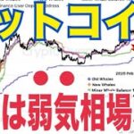 ビットコイン「今年は弱気相場はない」！？7万7000ドルまで下落しても強気相場継続か！？
