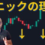 【元証券アナリスト】パニック売りが続く理由を解説。BTCサイクルは終了したのか！？【分析】