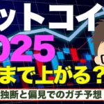 ビットコイン（BTC)！２０２５年どこまで上がるか？〜ズバリ！独断と偏見でのガチ予想！