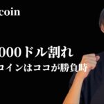 【BTC 95000ドル割れた】　ビットコイン・アルトコインは勝負時です　【仮想通貨・ビットコイン相場分析】