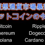 ビットコイン急落。マーケットクラッシュで落ちたナイフをつかめるか。暗号資産（仮想通貨）【BTC、ETH、SOL、ADA、DOGE、XRP】