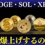 仮想通貨市場、混迷中！DOGE暴落の危機！？Solana213%成長！XRP ETF承認間近！？