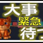 【仮想通貨ビットコイン今後】ETHイーサリアム大チャンス！初心者でもわかるテクニカル分析