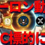 イーロンマスクが動く🔥SECが標的に・・・リップル保有者盛り上がる！