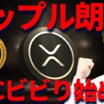 【リップル朗報】SEC証券が明らかにビビり始める・・・