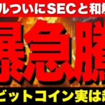 ビットコイン過去最高に超強気。リップルはSECと和解、そしてETF申請承認へ！【仮想通貨 暗号通貨 ビットコイン FX リップル】