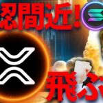 【注目】リップルやSOLがETF承認間近🔥アルトコインバブルに備えよ！