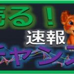 【仮想通貨ビットコイン今後】SUI下落チャンス！？初心者でもわかるテクニカル分析