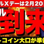 ビットコイン大口たちが急騰に無得準備開始。リップルはXデーの2月20日に価格急騰！【仮想通貨 暗号通貨 ビットコイン FX リップル】