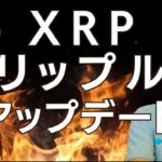 XRP リップル アップデート!! ドル建て・円建て・ビットコイン建て📈分析動画