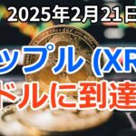 リップル (XRP) 10日以内に6ドル (約900円) に到達か？ステラ (XLM) も追って上昇に期待大！