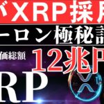XRP爆上げ警報！？イーロンマスクの極秘計画とは