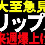 ⚠️大至急見て⚠️リップル（XRP）来週爆上げ⁉今後の最新分析を共有！【仮想通貨】